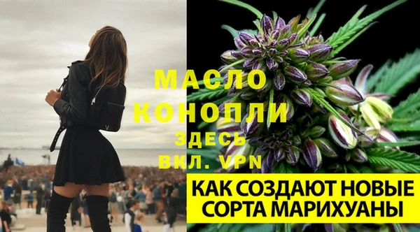 mix Инсар