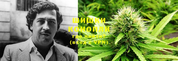 МДПВ Иннополис