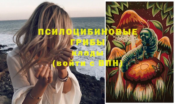 МДПВ Иннополис